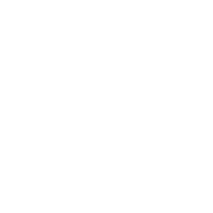 instagram-icon